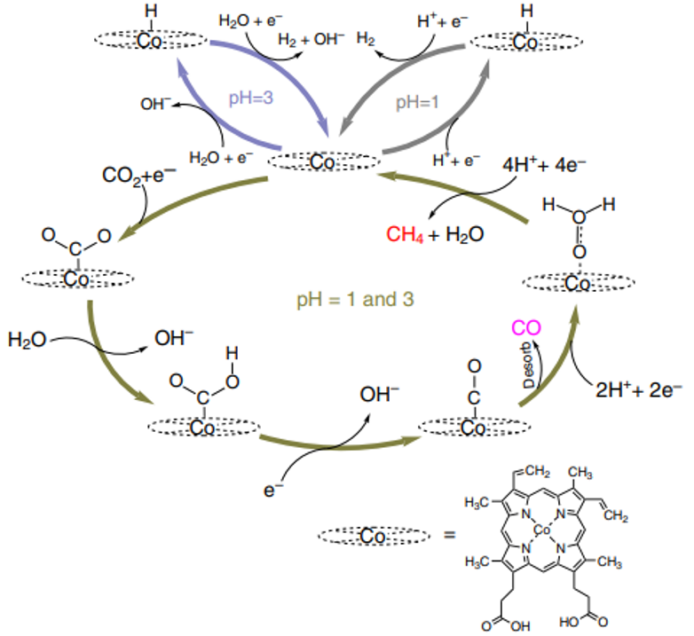 Mechanistic scheme for the electrochemical reduction of CO2 on Co protoporphyrin