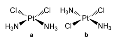 Structures of the cis (a) and trans (b) isomers of diamminedichloroplatinum (II), the cisplatin and transplatin, respectively.